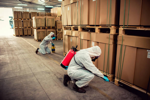 Professional Pest Control in Vauxhall, NJ