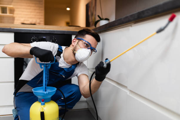 Best Residential Pest Control  in Vauxhall, NJ