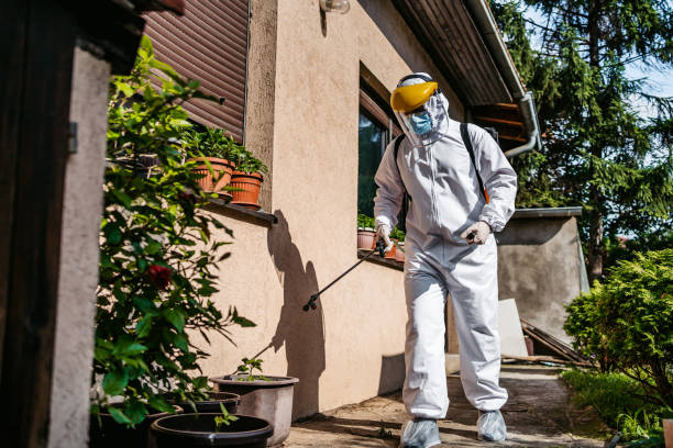 Flea Control Services in Vauxhall, NJ