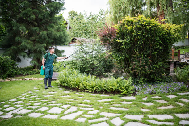 Best Insect Control  in Vauxhall, NJ