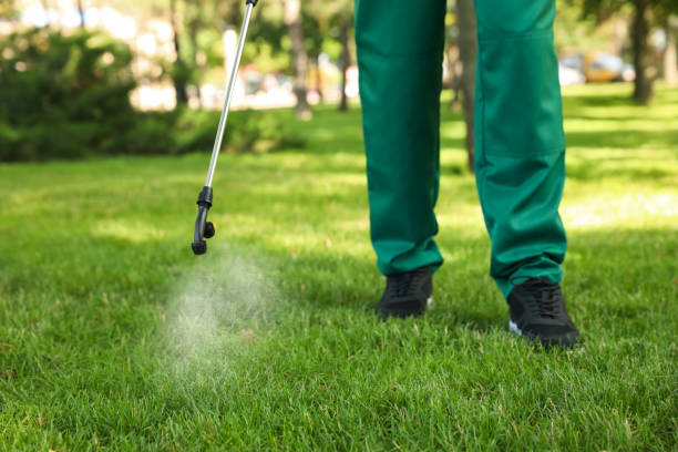 Best Pest Control Near Me  in Vauxhall, NJ