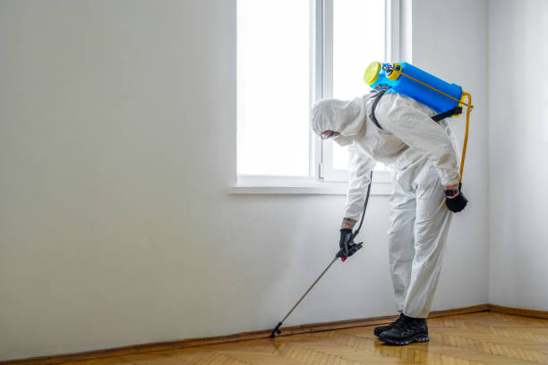 Best Local Pest Control Services  in Vauxhall, NJ