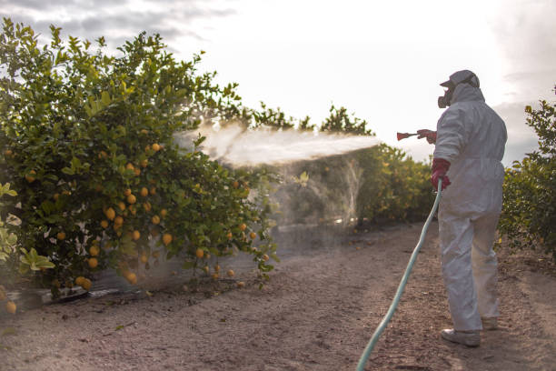 Best Pest Prevention Services  in Vauxhall, NJ
