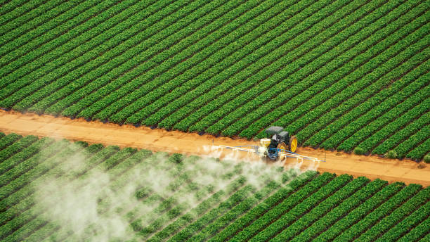 Best Commercial Pest Control Services  in Vauxhall, NJ