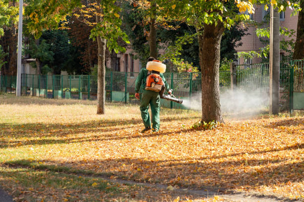 Best Emergency Pest Control  in Vauxhall, NJ