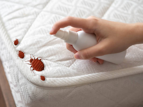 Best Local Pest Control Services  in Vauxhall, NJ