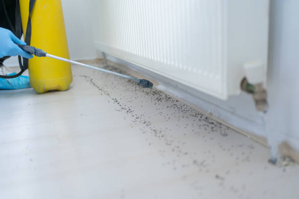 Best Best Pest Control Companies  in Vauxhall, NJ