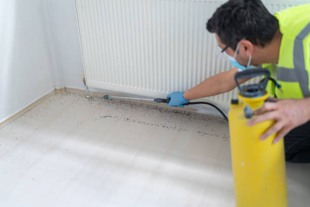 Best Pest Prevention Services  in Vauxhall, NJ