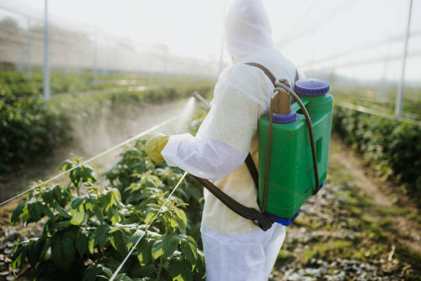 Best Pest Control for Homes  in Vauxhall, NJ